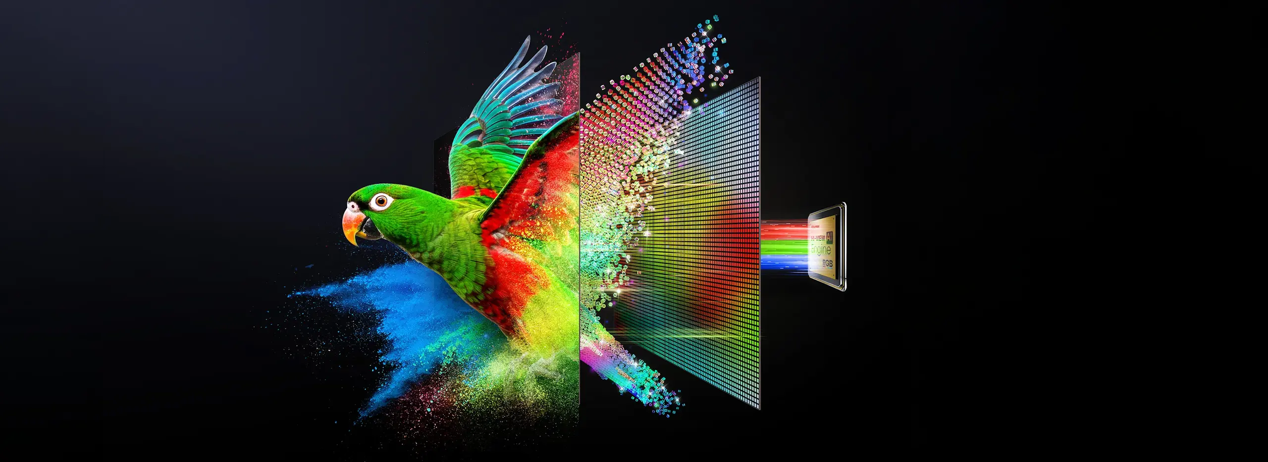 Blacklight-Desktop.webp Blacklight-Desktop.webp