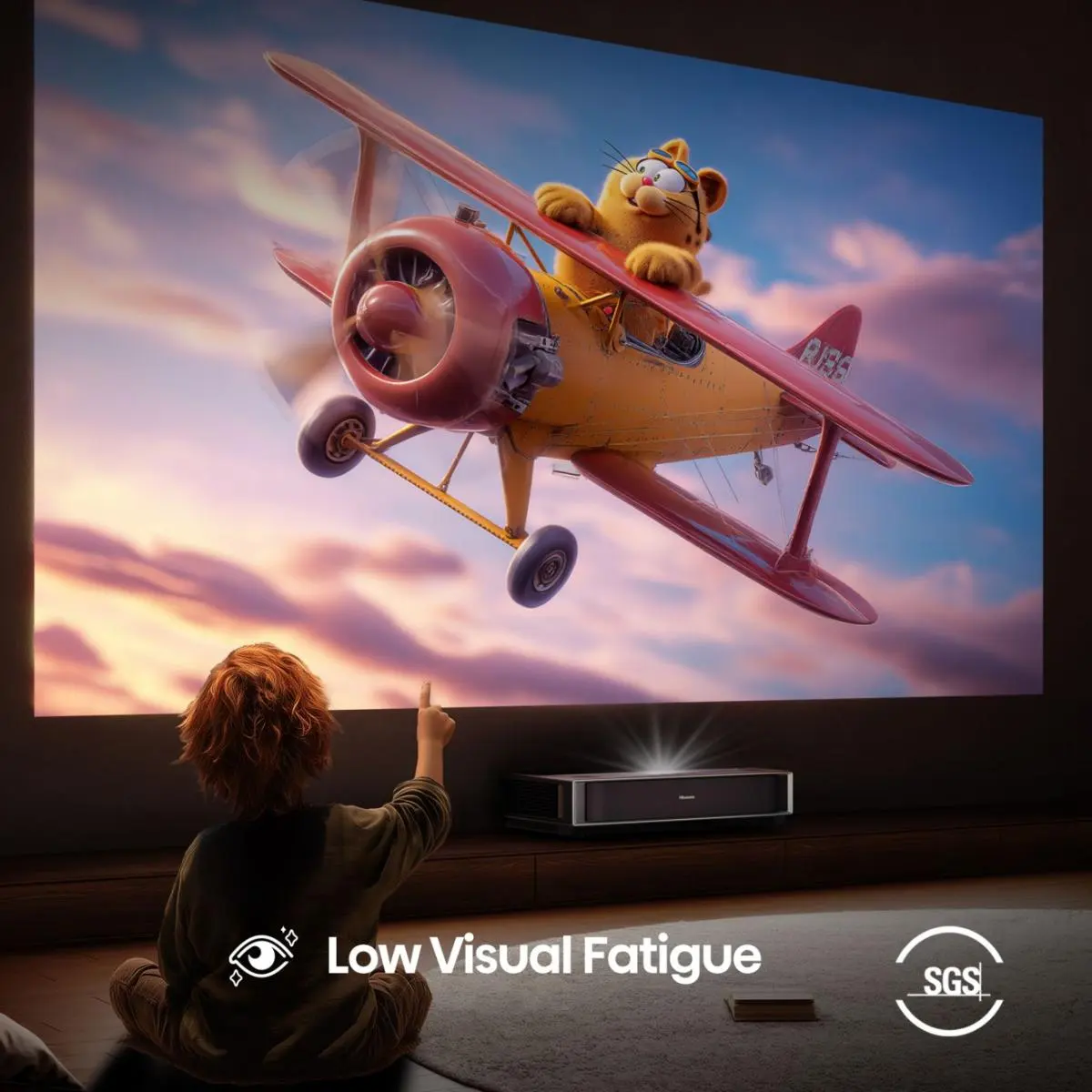 Hisense TV SET PT1SE HSN